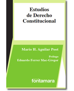 Estudios de Derecho Constitucional